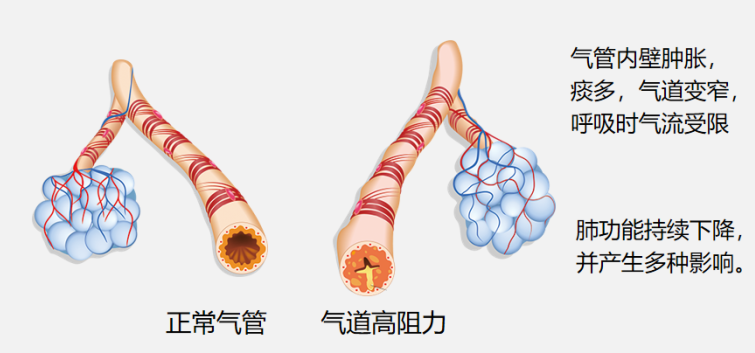 &#36125;&#21338;&#38598;&#22242;&#23448;&#32593;&#40;&#20013;&#22269;&#41;&#23448;&#26041;&#32593;&#31449;