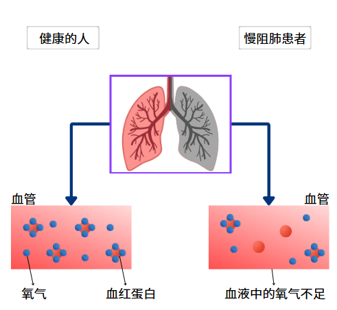 &#36125;&#21338;&#38598;&#22242;&#23448;&#32593;&#40;&#20013;&#22269;&#41;&#23448;&#26041;&#32593;&#31449;